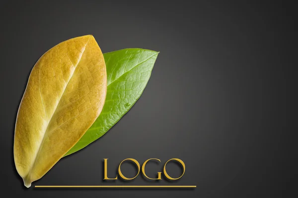 Il concetto di ecologia. Foglie verdi e gialle con il logo inciso su sfondo scuro — Foto Stock