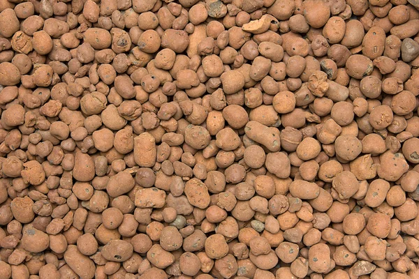Heat expanded clay pebbles used as a growing media in hydroponics. Background close up of pellets. — Stock Image Heat expanded clay pebbles used as a growing media in hydroponics. Background close up of pellets. Royalty Free Stock Photos