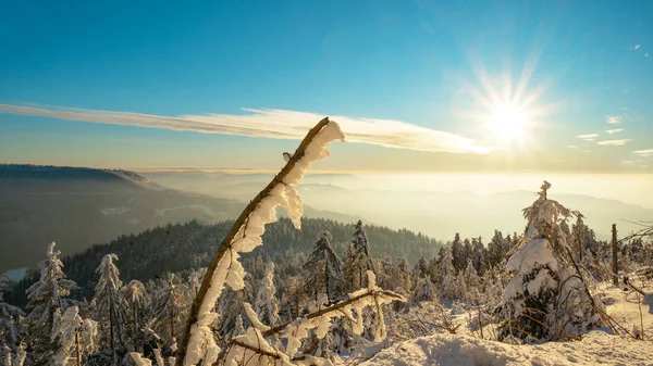 德国欧洲黑森林冬季雪景雪景的壮丽背景全景 冬季仙境 — 图库照片
