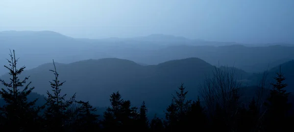 令人惊奇的蓝色全景背景横幅从雾蒙蒙的清晨在黑森林中飘扬 — 图库照片