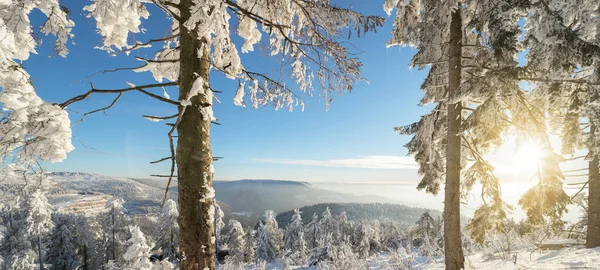 Stunning Background Panorama Snowy Frozen Landscape Snowscape Winter Black Forest — Stock Photo, Image