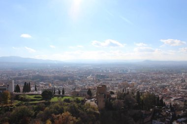 Doğa bitki örtüsü manzarası