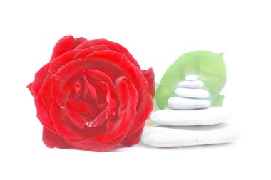 Gül ve spa taşları detayı