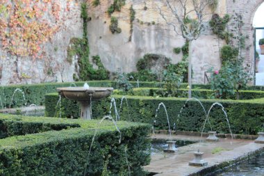 Bitki örtüsü manzaralı 