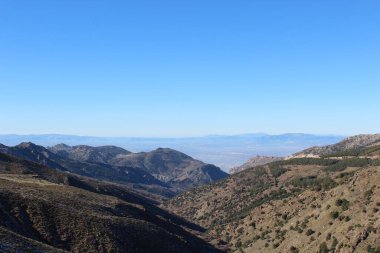 Bitki örtüsü manzaralı 