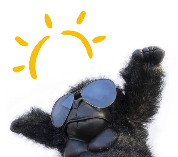 Gorilla Mit Sonnenbrille Und Großer Sonne — Stockfoto