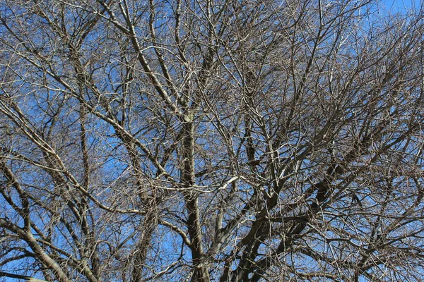 Şube detaylarını kapat.