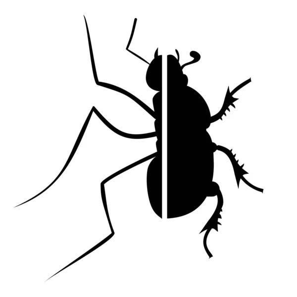 Ameise Und Käfer Vektor Illustration — Stockvektor