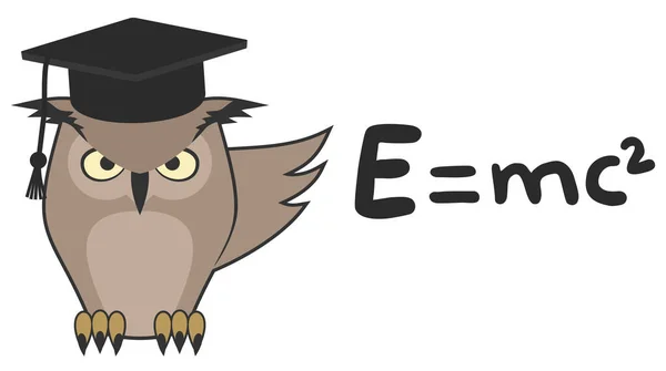 Teacher Owl Vector Illustration — Stock Vector