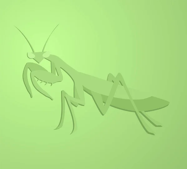Illustration Vectorielle Icône Mantis — Image vectorielle