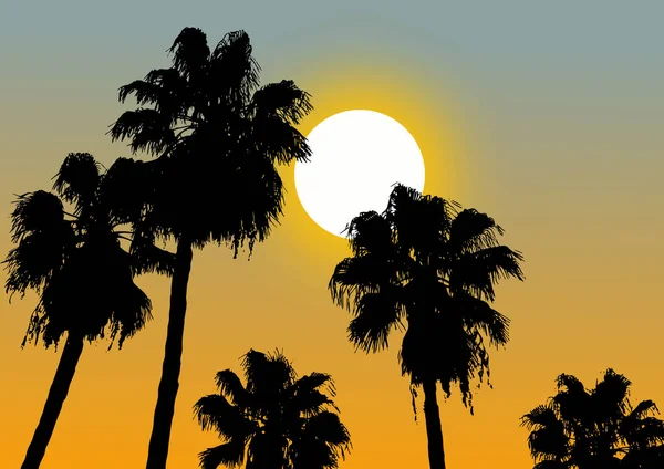 Ilustración Vectorial Escena Puesta Del Sol — Vector de stock