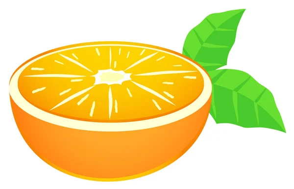 Εικόνα Διανύσματος Πορτοκαλιού Φρούτων — Διανυσματικό Αρχείο