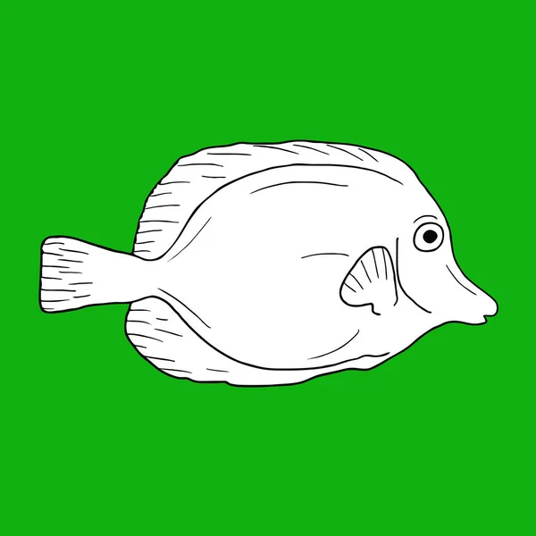 Green Fish Vector Illustration — Stock Vector