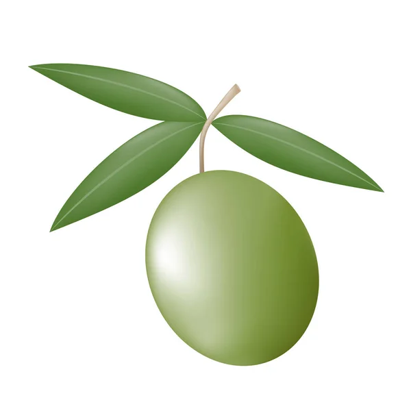 Nature Olive Vecteur Illustration — Image vectorielle