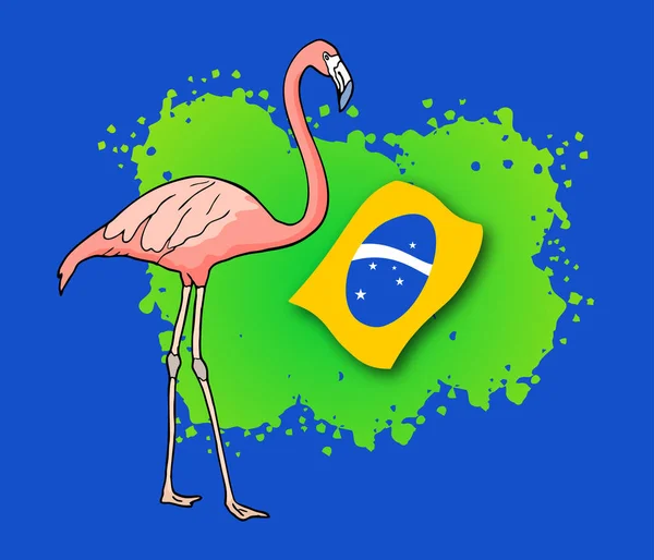 Brasilien Flamingo Vektor Illustration — Stock vektor