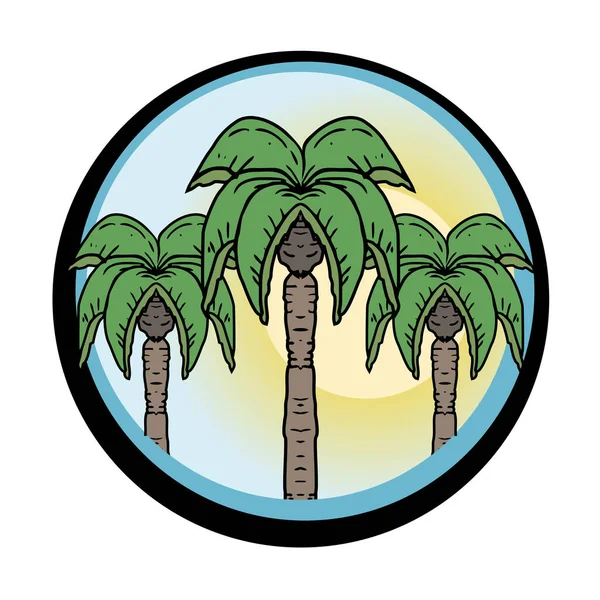 Palmera Vector Ilustración — Vector de stock