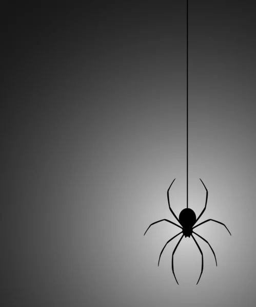 Obrázek Vektoru Záhadného Pavouka — Stockový vektor