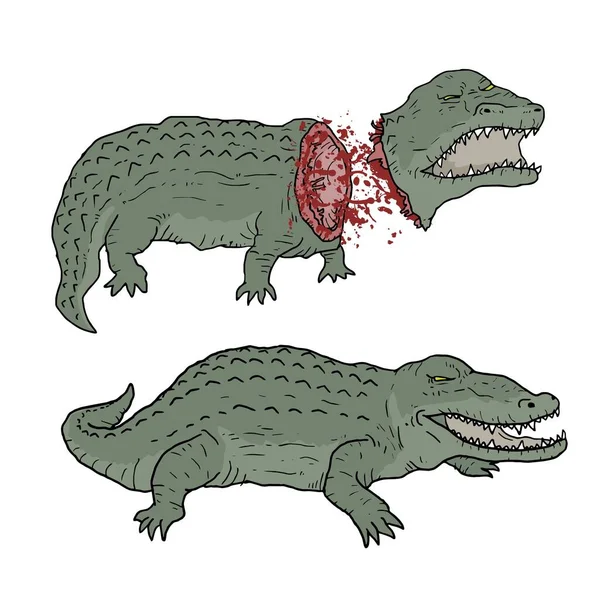 Krokodil Död Vektor Illustration — Stock vektor