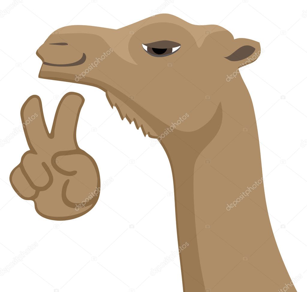 Happy camel vector illustration 