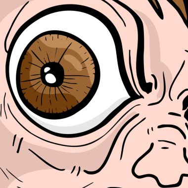 vector illustration of a background with eye