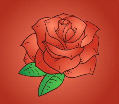 Güzel gül vektör illüstrasyonu