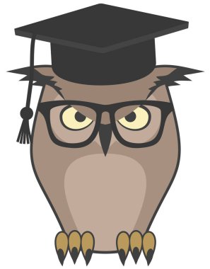 Mezuniyet şapka vektör illüstrasyonunda baykuş