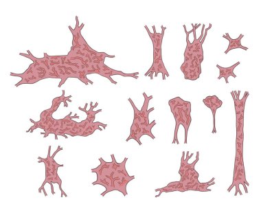 organik madde kümesi