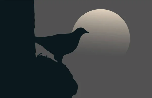 Pássaro Ilustração Noite — Vetor de Stock