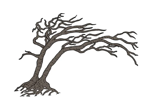 Ilustracja Wektora Drzewa Suchego — Wektor stockowy