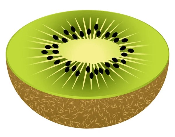 Kiwis Illustration Vectorielle — Image vectorielle