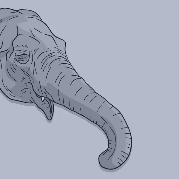 Head Elephant Vector Illustration — 图库矢量图片