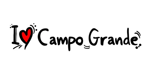 Кампу Гранди Бразилия — стоковый вектор