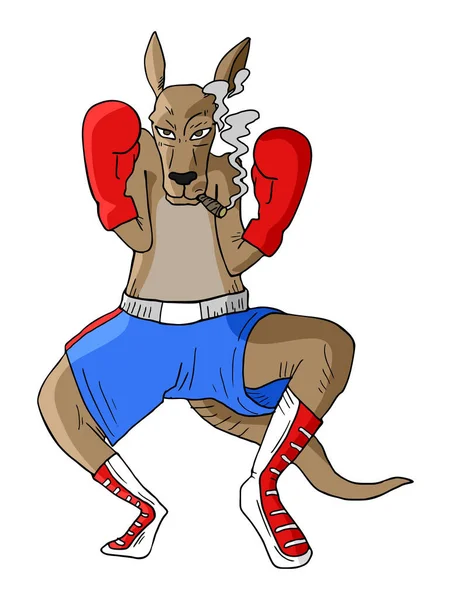 Kangaroo Boxing Vector Illustration — Stock Vector