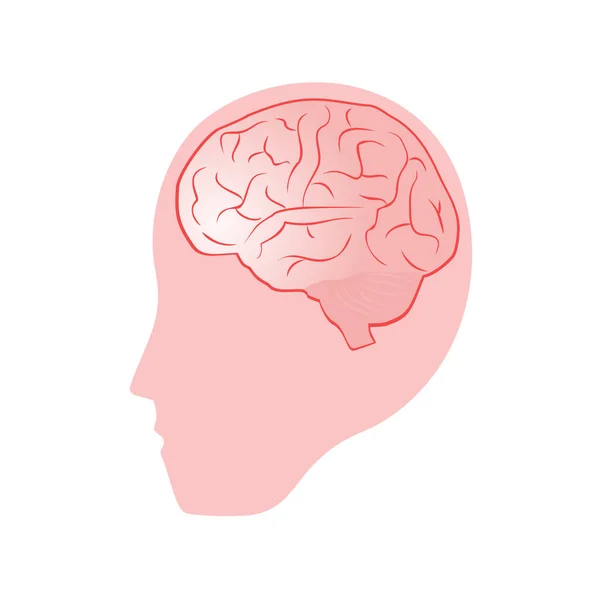創造的な脳のデザインベクトル図 — ストックベクタ