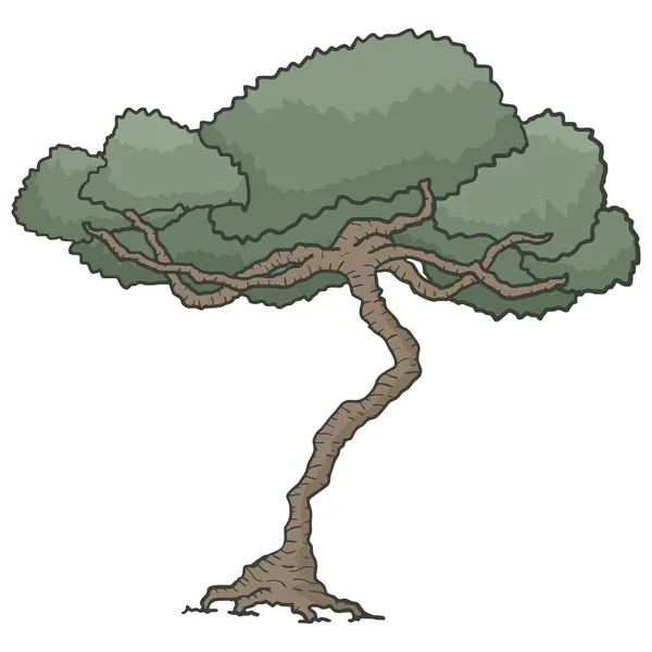 Meşe Ağacı Çizimi — Stok Vektör