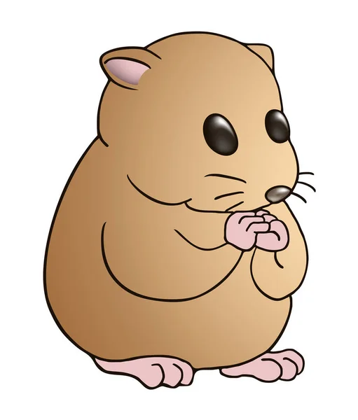 Schattige Hamster Vector Illustratie — Stockvector