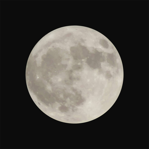 realistic vector of full moon vector illustration