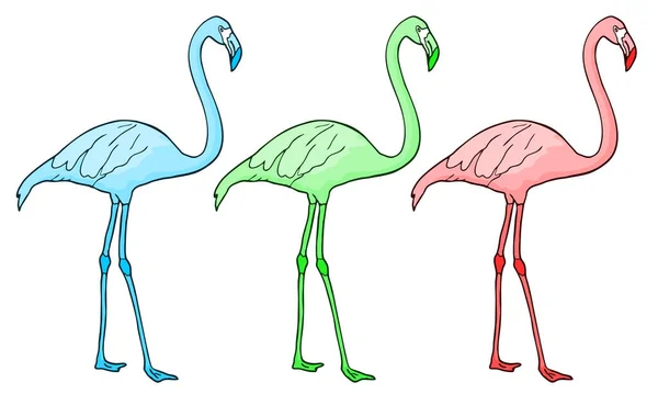 Illustration Des Flamingo Farbvektors — Stockvektor
