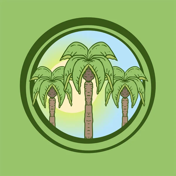 Palmera Vector Ilustración — Archivo Imágenes Vectoriales