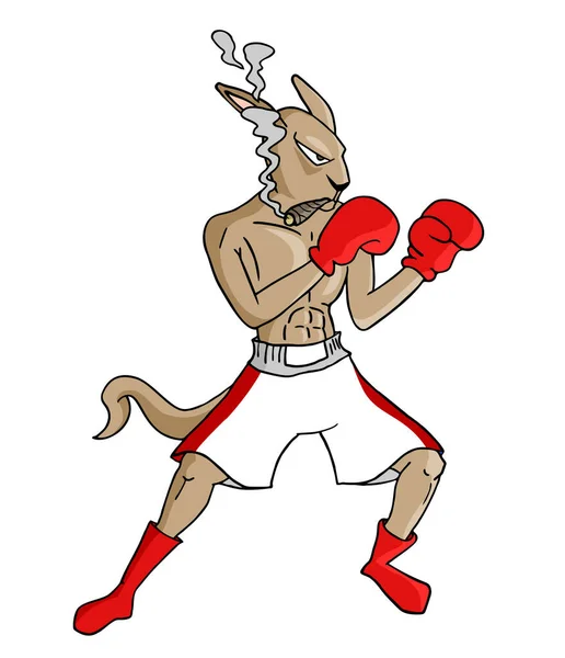 Fumeur Boxe Kangourou Vecteur Illustration — Image vectorielle