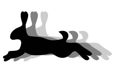 Tavşan vektör resimlemesi atla