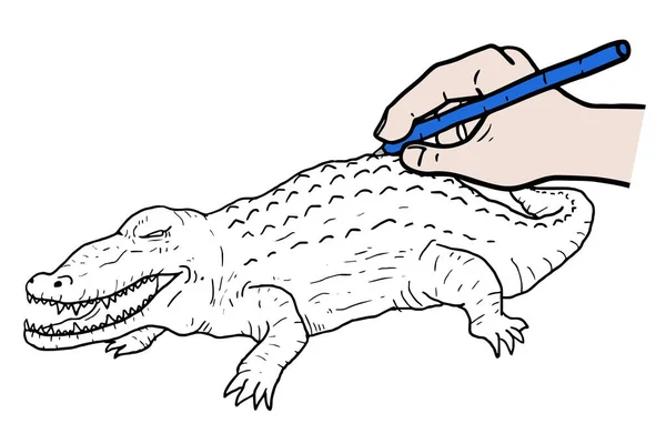 Dessinez Une Illustration Vectorielle Crocodile — Image vectorielle