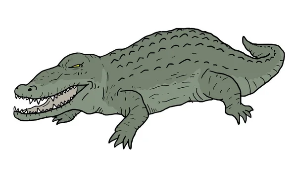 Illustration Vectorielle Caractères Crocodiles — Image vectorielle