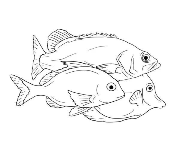 Dibujar Ilustración Vector Pescado — Vector de stock