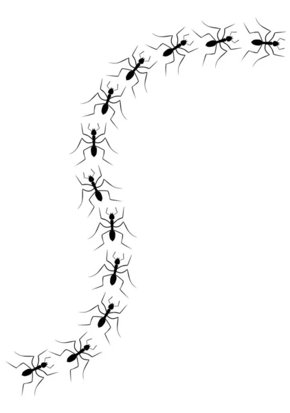 Vektorová Ilustrace Hmyzu — Stockový vektor