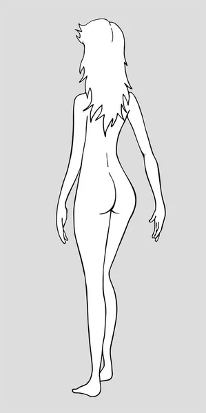 Vektorová Ilustrace Ženy Těla — Stockový vektor