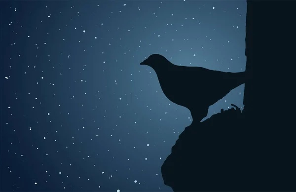 夜のイラストの鳥は — ストックベクタ
