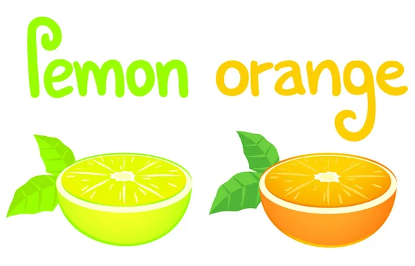 Citron Och Orange Kort — Stock vektor