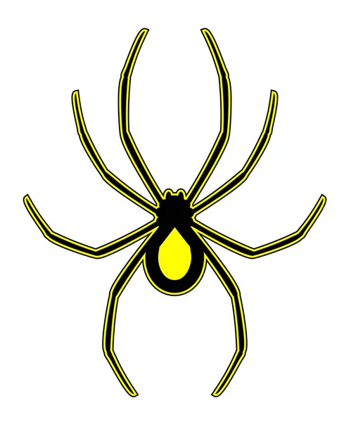具有创意的蜘蛛设计矢量说明 — 图库矢量图片