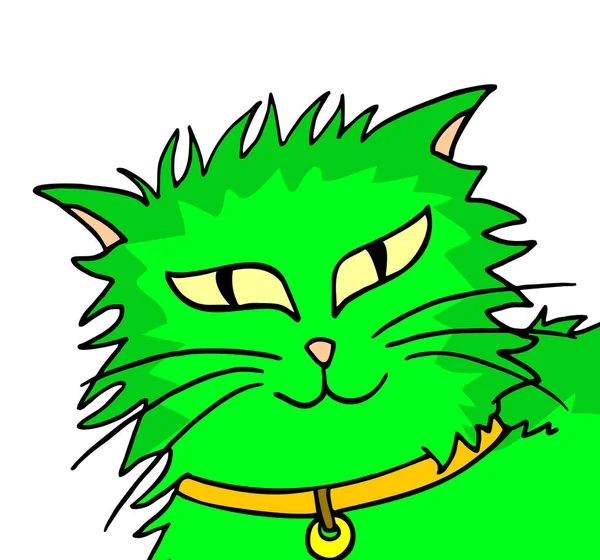 Zeldzame Groene Kat Vector Illustratie — Stockvector
